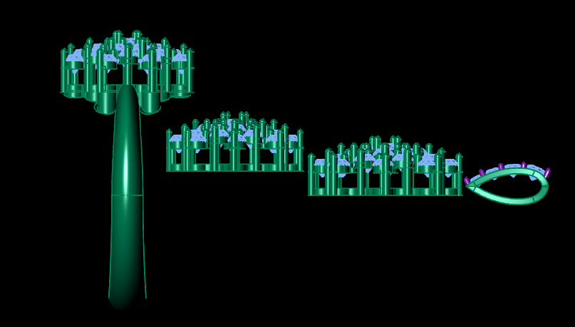 female Jewelry Set 3D CAD Model (STL) – Ring, Pendant & Earrings for 3D Printing