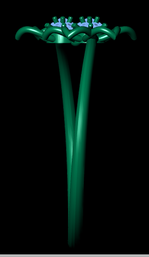 Italian female Ring STL File – 3D Jewelry Design for Gold & Silver Casting